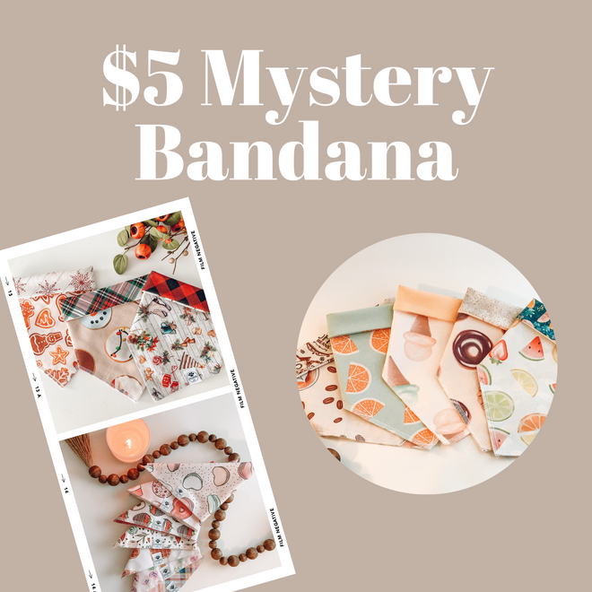$5 Mystery Bandana!